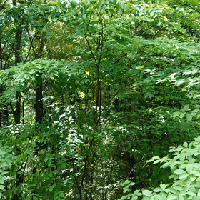 ヒ－リングされてる‼️の画像