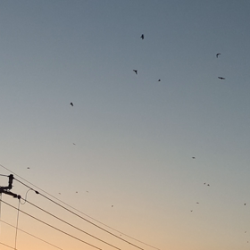 山へ帰ります(笑)の画像