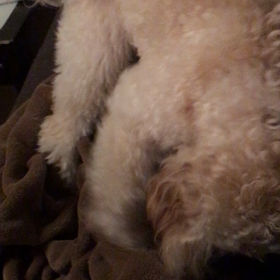 ホリホリ movieの画像