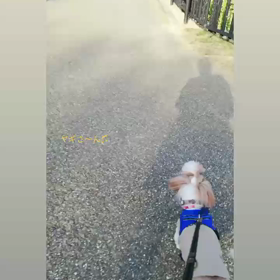 プチ遠足の画像