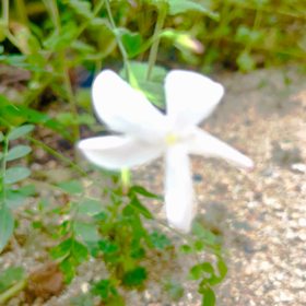 これでいいんだの画像