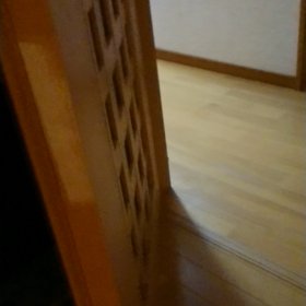 1955.りんの鳴き声の画像