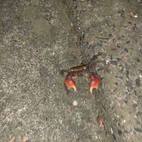 だーれだ？！の画像