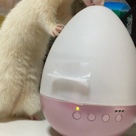 乾燥していますの画像