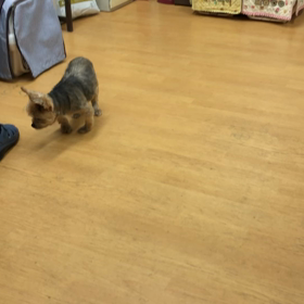 それすら可愛い❤️の画像