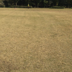 ひろばで遊び☆の画像