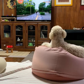 テレビっ子の画像