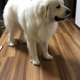 生後730日の画像