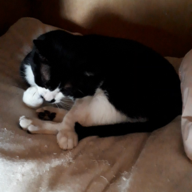 日進月歩の画像