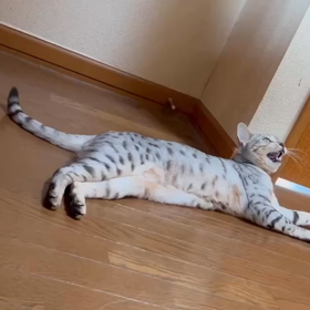 リハビリ♪の画像