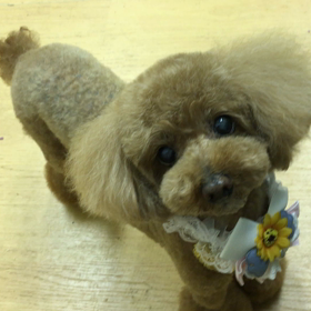 いいよね〜。の画像