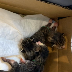 育児始めました❣️の画像