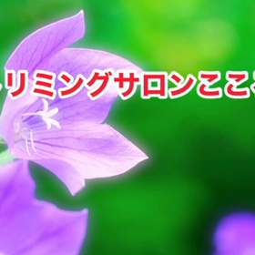 スライドショーの画像