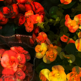 ✌️✌️⤴️懐かしい✌️⤴️いい曲の画像