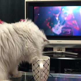 氷遊びマリーの画像