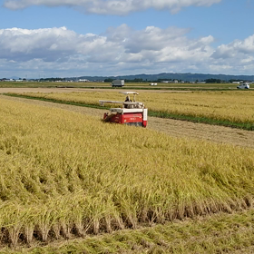 コンバインは左回りが基本？の画像