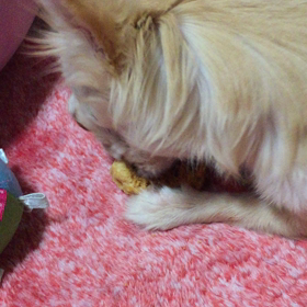 ﾋﾏﾁｰ...♪*ﾟの画像