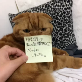 ベッドにしましたの画像