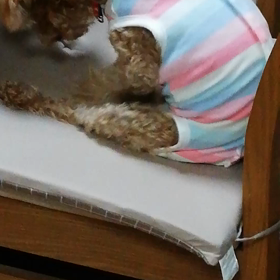 なつ、穴ほりの画像