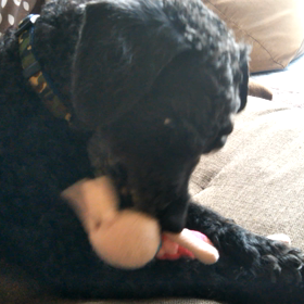 初めての…の画像