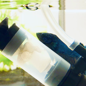 ずっとエアフィルターの上のベリー君の画像