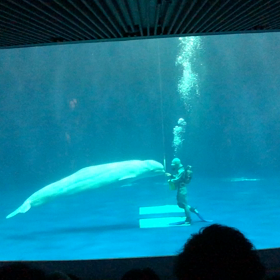 目標達成の画像