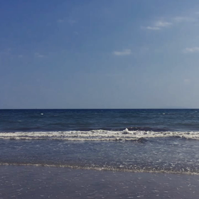 ５月３０日　【オンライン開催】　内科医が教える感情のケアに使えるホメオパシーの画像