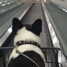 ホームセンター☆の画像