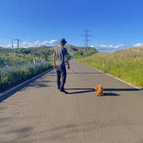 今日はお休みなさいの画像