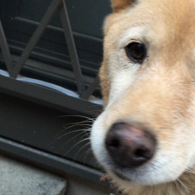 うまうまっ！！の画像