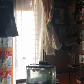 ぐーぱー／動画の画像