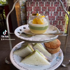 屋根の上のガチョウの画像