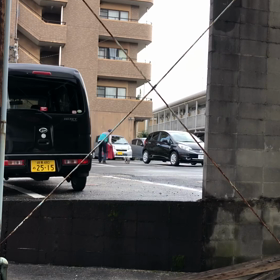 子犬確保の画像