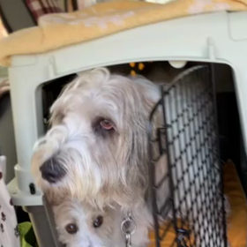 あれれ？の画像