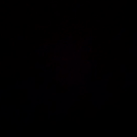 胎動と心音と…の画像