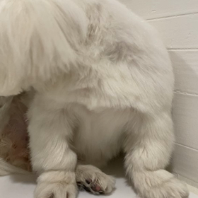 好きではない相手との結婚の画像