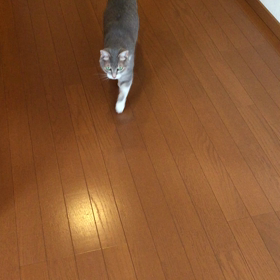 お〜いっ！ヽ(´▽｀)/の画像