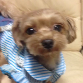 ♡１０月１４日は歌います♡の画像