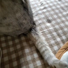 朝から激しいスキンシップの画像