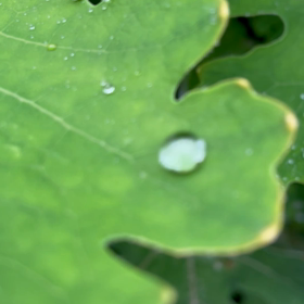 雨の日の画像