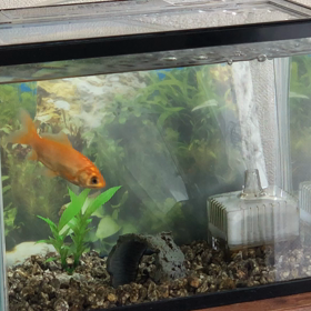 怖～いストーカーの画像