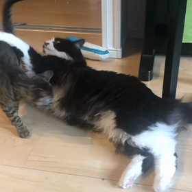 乳出んぞの画像