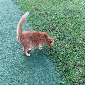 2023/07/22 今週のハナの画像