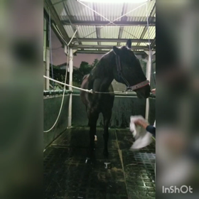 お疲れ様でしたの画像