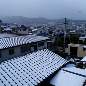 今日は雪が降ってます。の画像
