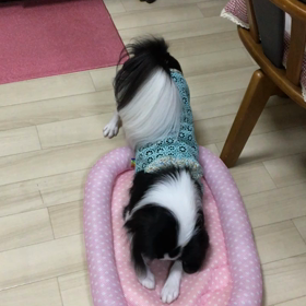 びっくりΣ(￣□￣)！の画像