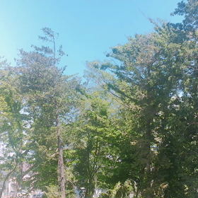 今朝の青空と昨晩の雷の画像