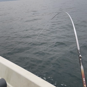 プチ釣行の画像