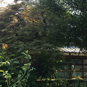 おはようございます（╹◡╹）の画像