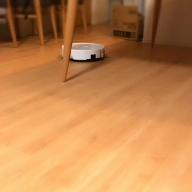 お掃除ロボットがやってきました♪の画像